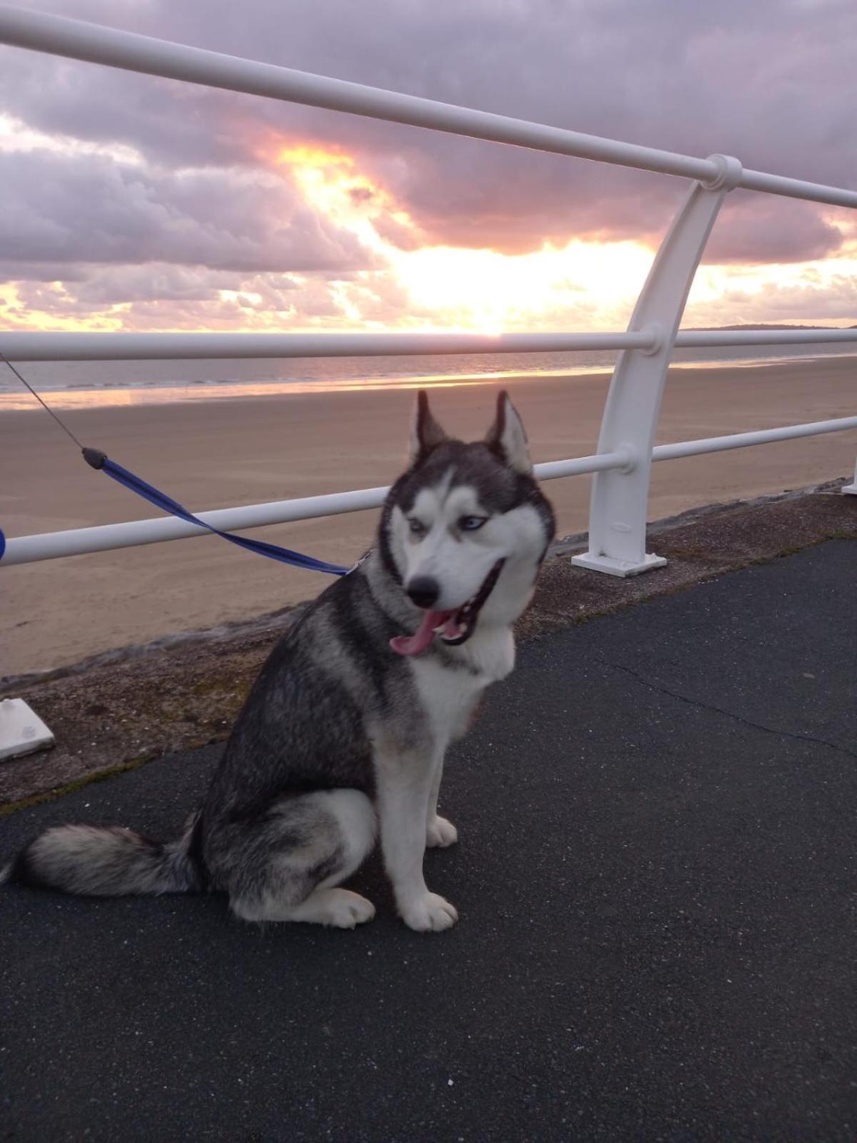 Driftmark Beachfront Location Aberavon Beach Sea Views Large Driveway Parking Private Site Fibre Optic Wi Fi Port Talbot Kültér fotó